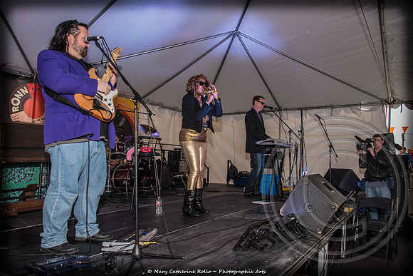 UNSCENE! A Tribute to Stan the Record Man Lewis, March 8, 2014-665-114