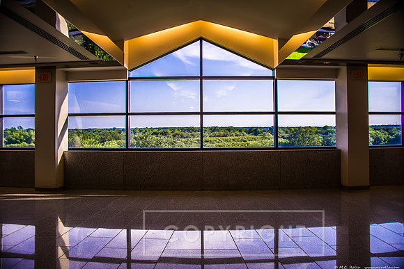 Noel Memorial Library LSU-S Campus  Aug 8 2014-005