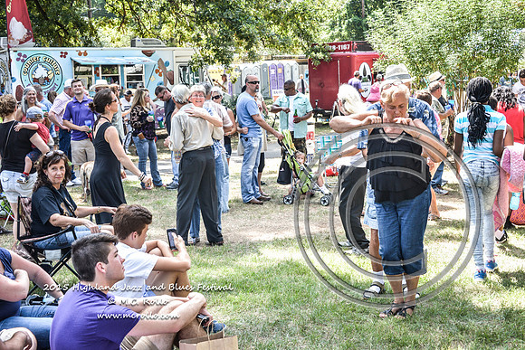 Highland Jazz and Blues Festival  9-19-2015-130