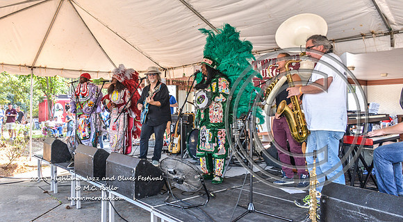Highland Jazz and Blues Festival  9-19-2015-745