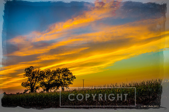 untitled-99-Edit-Edit-1-2