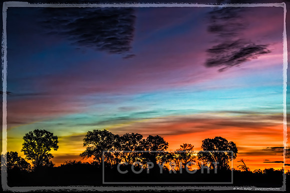 Good Morning Sky 11-2015 (c) M.C. Rollo