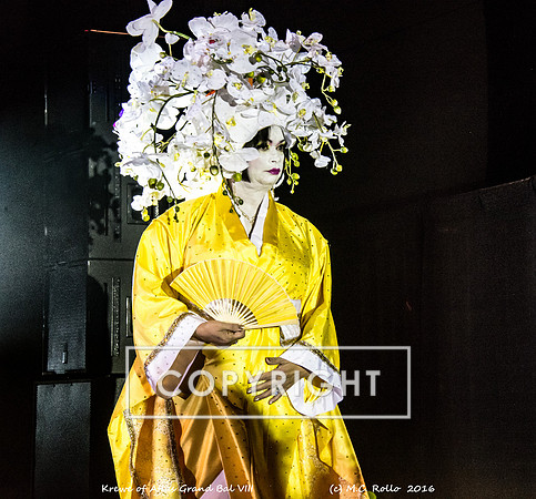 Krewe of Atlas Ball January 15 2016 -198