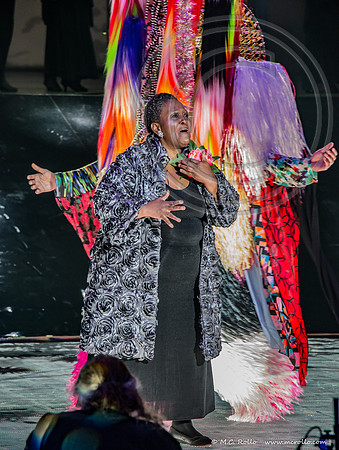 SRAC Nick Cave dress rehearsal 3-19-2016-103