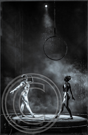 Twins Selenium Tone (c) M.C. Rollo 2016