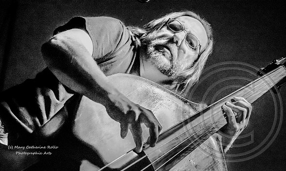 Brock B&W (c) M.C. Rollo 2013