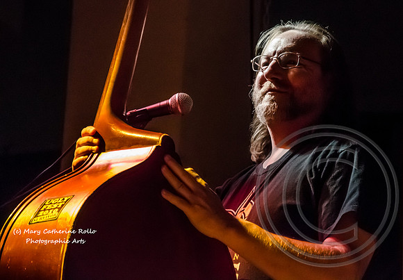 Brock Wood (c) M.C. Rollo 2013