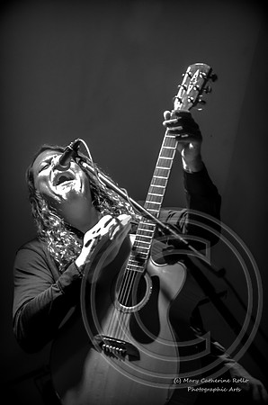 Michael DeArmond gray and white (c) M.C. Rollo 2013
