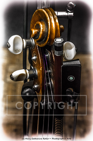 Fiddle and bow