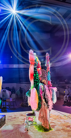 SRAC Nick Cave dress rehearsal 3-19-2016-075