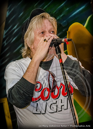 Dave Dawson (c) M.C. Rollo 2013