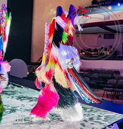 SRAC Nick Cave dress rehearsal 3-19-2016-095