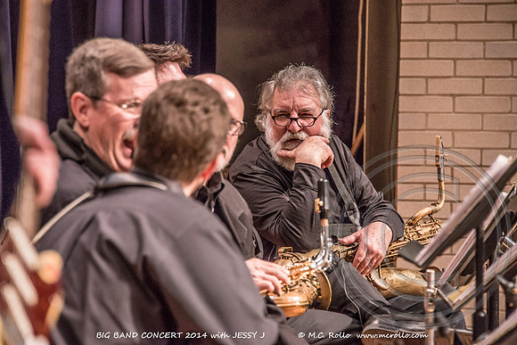 Big Band Concert with Jessy J 12-4-2014-024-15