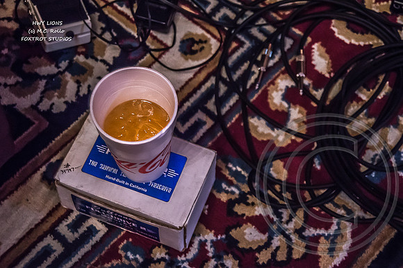 HWY LIONS at Foxtrot Studios July 21 2014-156-46