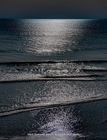 New Symrna Beach 2023-322