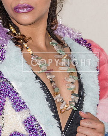 Micro-Macro at the Marlene Yu 4-20-2018-419