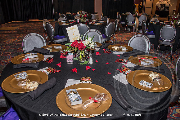 Krewe of Artemis Grand Bal 1-12-2019-001