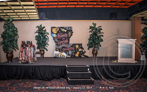 Krewe of Artemis Grand Bal 1-12-2019-005
