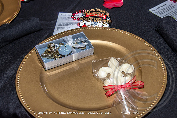 Krewe of Artemis Grand Bal 1-12-2019-004