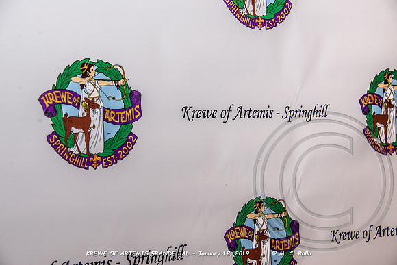 Krewe of Artemis Grand Bal 1-12-2019-009