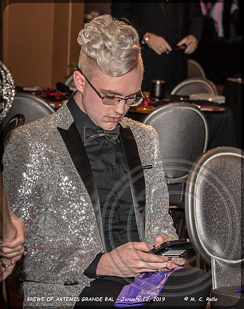 Krewe of Artemis Grand Bal 1-12-2019-012