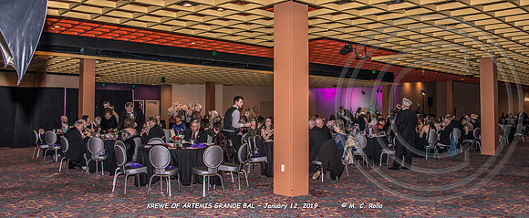 Krewe of Artemis Grand Bal 1-12-2019-050