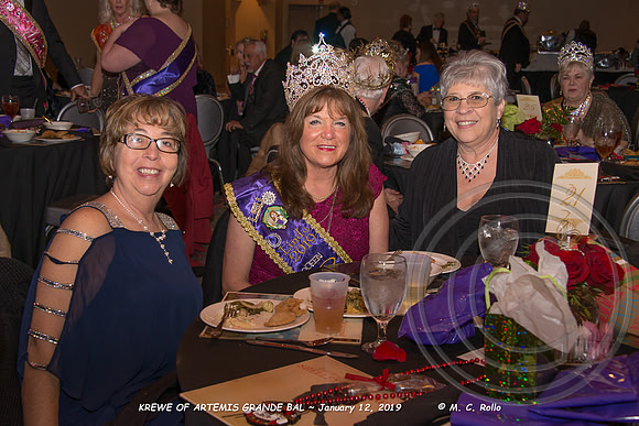 Krewe of Artemis Grand Bal 1-12-2019-053