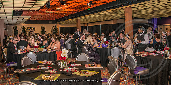 Krewe of Artemis Grand Bal 1-12-2019-054