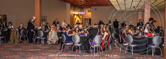 Krewe of Artemis Grand Bal 1-12-2019-056