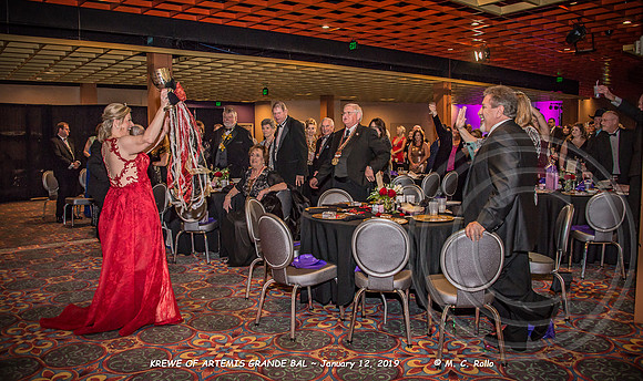 Krewe of Artemis Grand Bal 1-12-2019-104