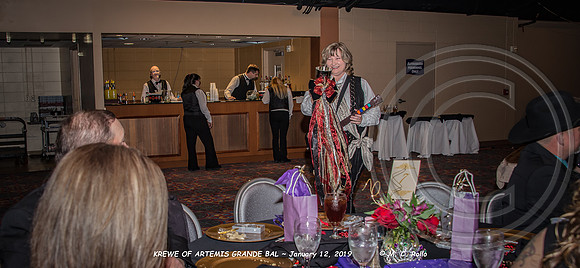 Krewe of Artemis Grand Bal 1-12-2019-116