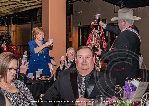 Krewe of Artemis Grand Bal 1-12-2019-125
