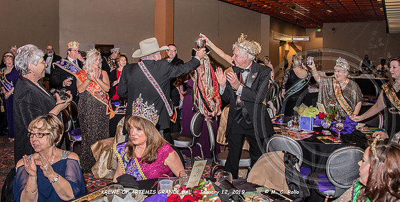 Krewe of Artemis Grand Bal 1-12-2019-127