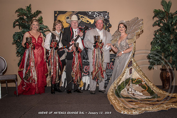 Krewe of Artemis Grand Bal 1-12-2019-143