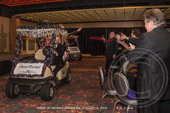 Krewe of Artemis Grand Bal 1-12-2019-151
