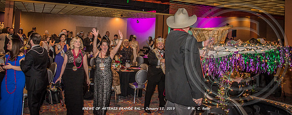 Krewe of Artemis Grand Bal 1-12-2019-163
