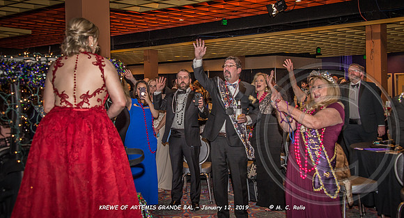 Krewe of Artemis Grand Bal 1-12-2019-168