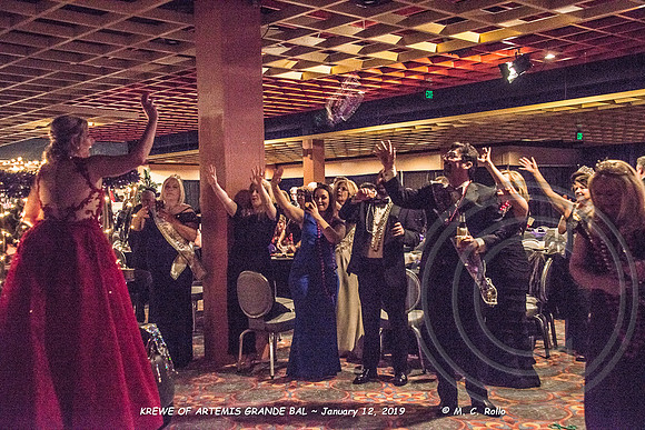 Krewe of Artemis Grand Bal 1-12-2019-169