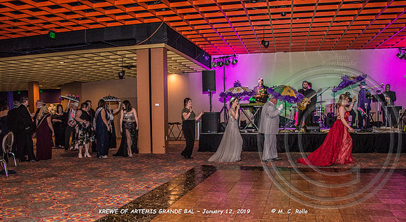 Krewe of Artemis Grand Bal 1-12-2019-202