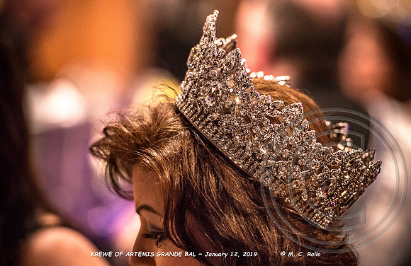 Krewe of Artemis Grand Bal 1-12-2019-419