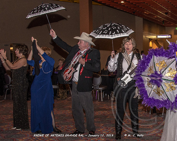 Krewe of Artemis Grand Bal 1-12-2019-212