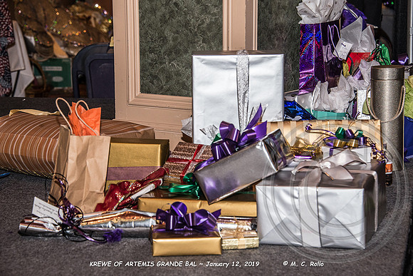 Krewe of Artemis Grand Bal 1-12-2019-227