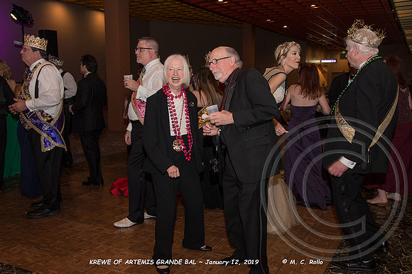 Krewe of Artemis Grand Bal 1-12-2019-293