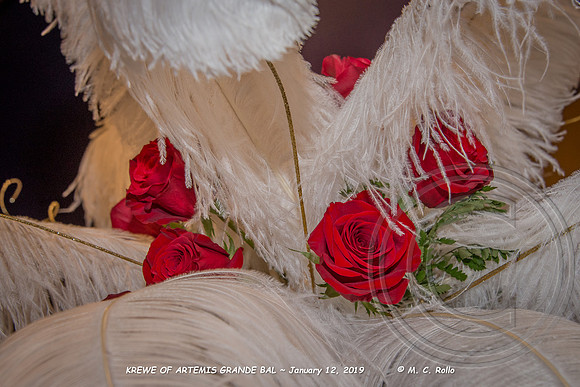Krewe of Artemis Grand Bal 1-12-2019-361