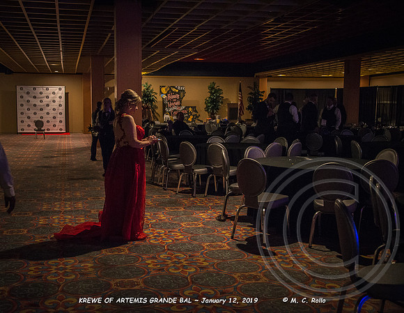 Krewe of Artemis Grand Bal 1-12-2019-375
