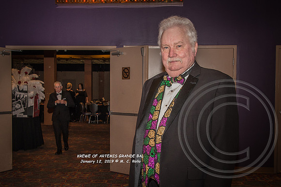Krewe of Artemis Grand Bal 1-12-2019-017-2