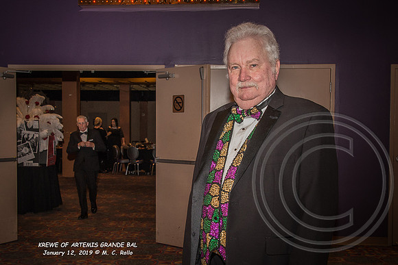 Krewe of Artemis Grand Bal 1-12-2019-017
