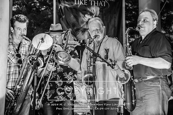 Sing It One More Time Like That, Parc Sans Souci, Lafayette, LA 9.19.14-038