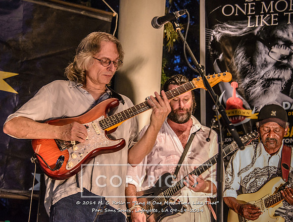 Sing It One More Time Like That, Parc Sans Souci, Lafayette, LA 9.19.14-051
