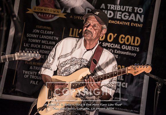 Sing It One More Time Like That, Parc Sans Souci, Lafayette, LA 9.19.14-052